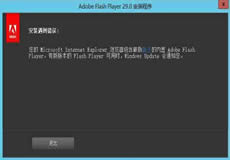 Windows Server 2016、2019顯示啟用Flash